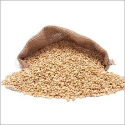 Organic Wheat Grain