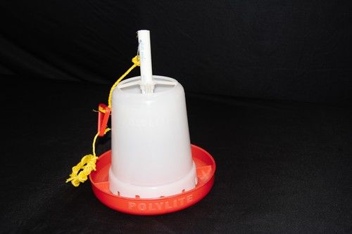 poultry chicks baby feeder