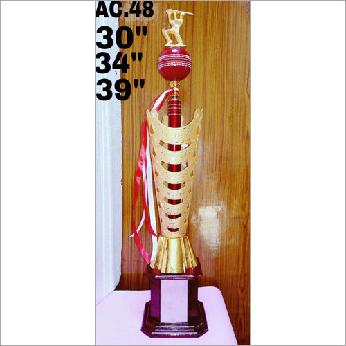Various Colors Designer Cricket Trophy