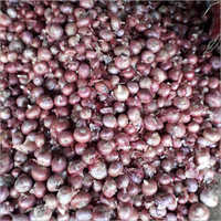 Fresh Red Onion Moisture (%): 4-5
