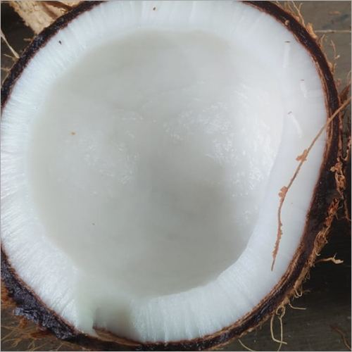 Coconut Copra, Coconut Copra Manufacturers & Suppliers, Dealers