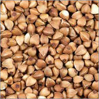 Buckwheat