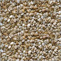 Sesame Seeds