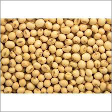 Soybean Seeds Admixture (%): 0.8%