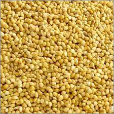Yellow Millets Admixture (%): 0.3%