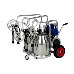Double Can Double Milking Machine
