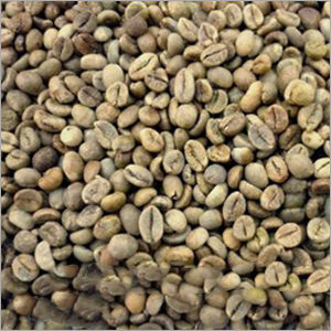 Robusta Beans Washed