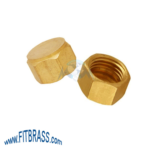 BRASS HEX DEAD NUT Manufacturer, BRASS HEX DEAD NUT Exporter