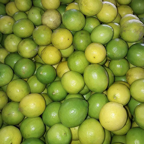 Lemon - Big Oval Shape, Green Color | Refreshing Aroma, High Vitamin C Content, Long Storage Life, Beneficial for Weight Loss and Kidney Health