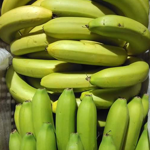 Yellow Banana
