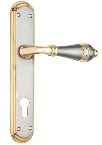 SPIDER Brass Mortice Lock Set