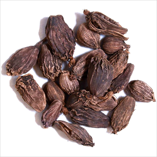 Large Cardamom