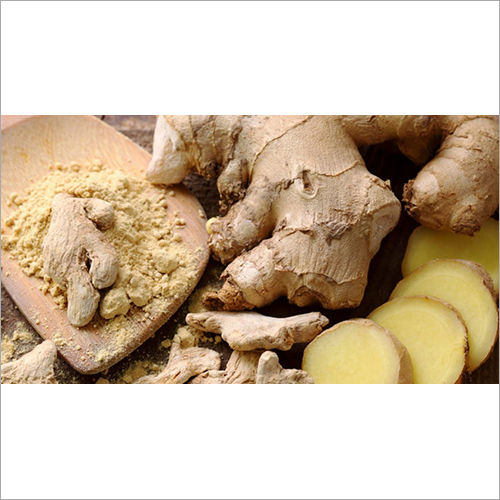 Fresh Dry Ginger