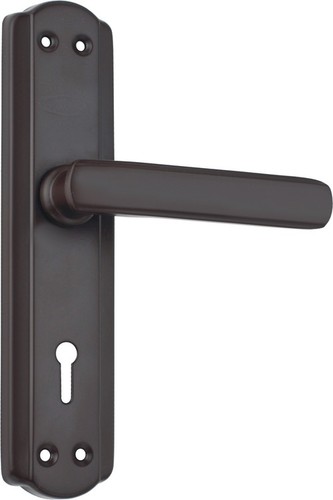 Spider Steel Mortise Lock