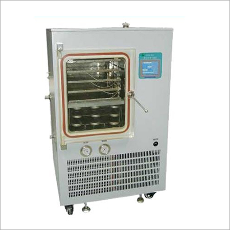 Common Type In Situ Freeze Dryer
