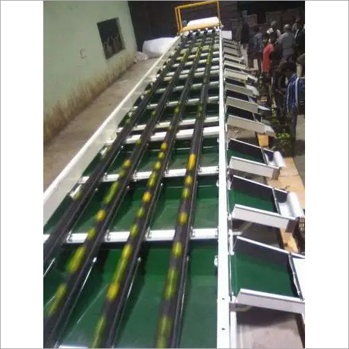 ELECTRONIC FRUIT GRADING LINE FOR APPLE AND OTHER ROUNDED FRUITS