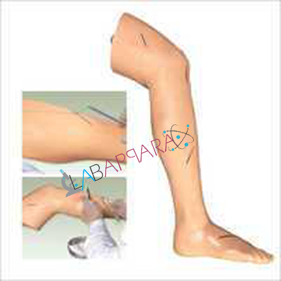 Advanced Surgical Suture Leg Model