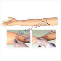 Advanced Surgical Suture Arm Model