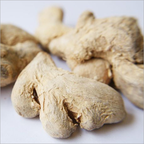 Dried Root Ginger