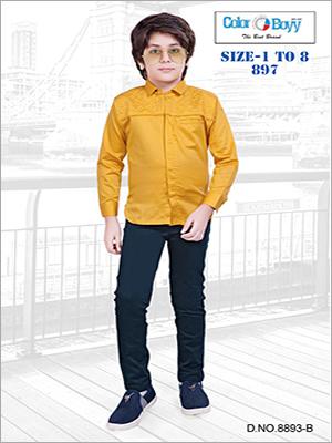 Boys Fancy Shirt With Pant Set Age 