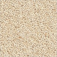 Poppyseeds White  (Khus Khus)