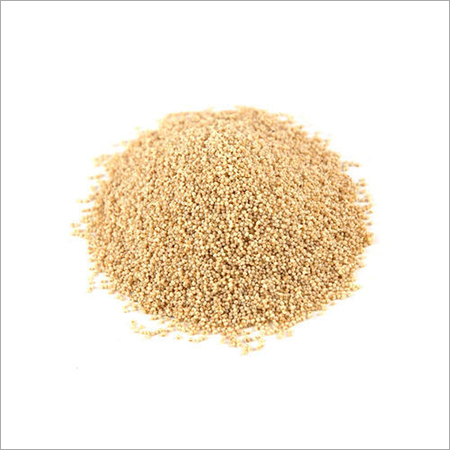 Poppyseeds Yellow (Khus Khus)