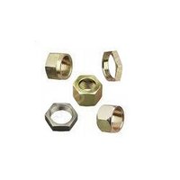 Brass Union Nuts - Polished Finish, Weight Range 15-50 Kg | Durable Brass Material, Ideal For Versatile Applications
