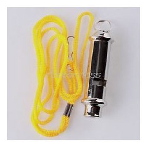 Security Lanyard