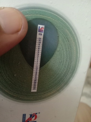 Vancomycin MIC STRIP