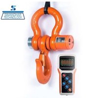 Wireless Crane Scale - 10T X 2 KG