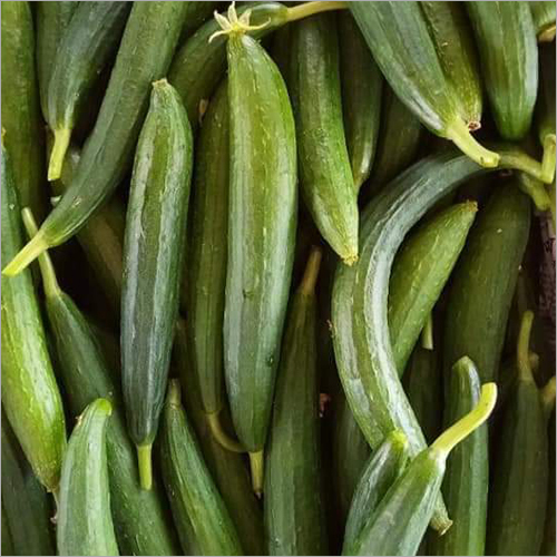 Sponge Gourd Shelf Life: 3-4 Days