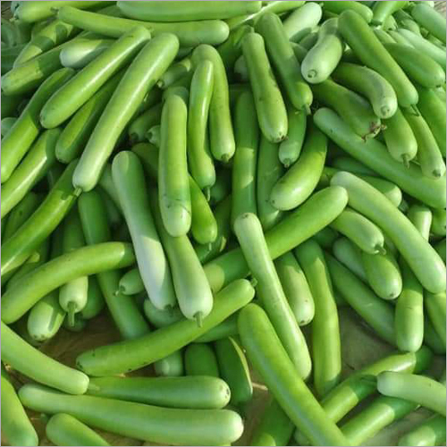 Bottle Gourd