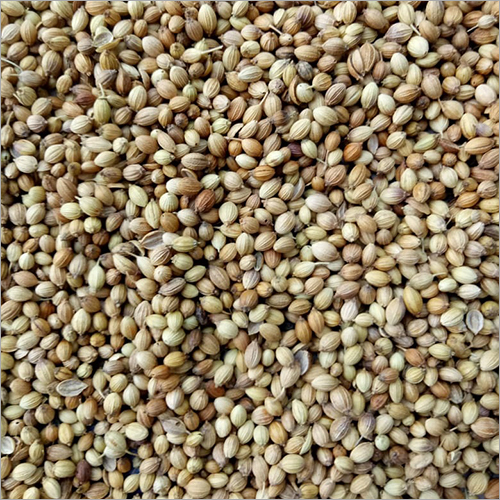 Raw Coriander Seed - Raw, Food Grade | Brown Color, 3-4 Months Shelf Life, Properly Cleaned, Sorted, Ideal for Spicing Dishes
