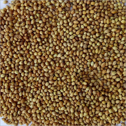 Raw Brown Coriander Seed - Food Grade Granule, Brown Color | Processed Using Indigenous Methodology, Shelf Life: 3-4 Months