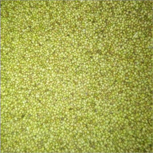 Green Coriander Seed - Food Grade | Green Color, 3-4 Months Shelf Life, Ideal for Enhanced Flavor in Cuisines, Purity & Quality Acknowledged