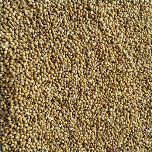 Fried Coriander Seed - Food Grade Brown Granules | Aromatic Flavor Enhancer for Sweet and Savory Dishes 3-4 Months Shelf Life