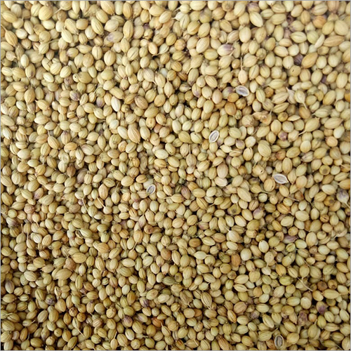 Whole Coriander Seed - Yellow Granules, Food Grade | Mild Flavor Enhancer for Sweet and Savory Dishes, Shelf Life: 3-4 Months