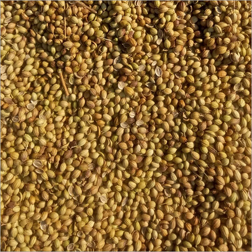 Spices Coriander Seed - Food Grade Granule Yellow Color | Distinctive Flavor Unique Aroma Ideal for Diverse Cuisines
