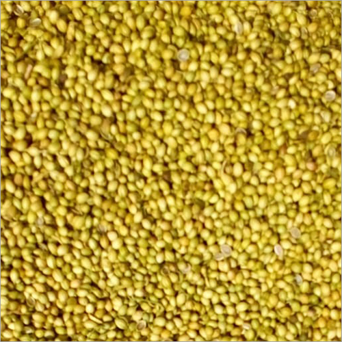 Yellow Dried Coriander Seed Grade: Food Grade