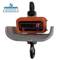 High Temperature Crane Scale