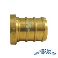 BRASS PEX BARB PLUG