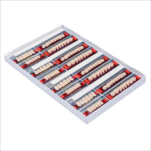 Acryrock 2 Layer Acrylic Teeth