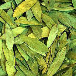 Senna Leaves - Pure Green, Variable Leaf Size | Natural Remedy, Laxative Effect, Herbal Supplement, Low Moisture Content, Bulk Packaging, 24 Months Shelf Life