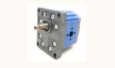 Reversible Hydraulic Motors 50.8 Standard FLANGE-Group 3