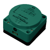 Pepperl Fuchs CJ40-FP-A0-P1