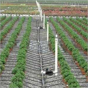 Drip Irrigation Sprinkler Application: Agriculture