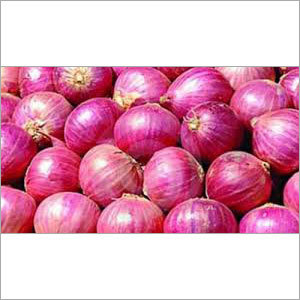 Fresh Onion