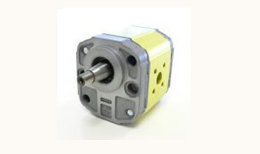 Unidirectional Hydraulic Pump A,50 Bh Flange A Group 2 Application: Sewage