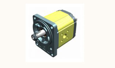 Unidirectional Hydraulic Pump 80 Standard German FLANGE  Group 2