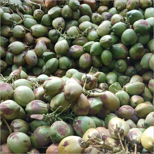 Raw Green Coconut